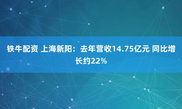 铁牛配资 上海新阳：去年营收14.75亿元 同比增长约22%