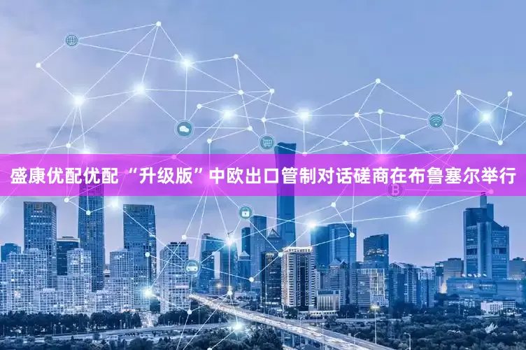 盛康优配优配 “升级版”中欧出口管制对话磋商在布鲁塞尔举行